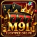 M91 Game