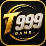 T999 Game